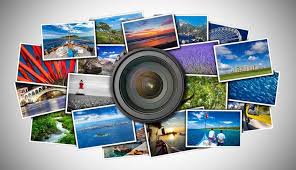 Video Gallery