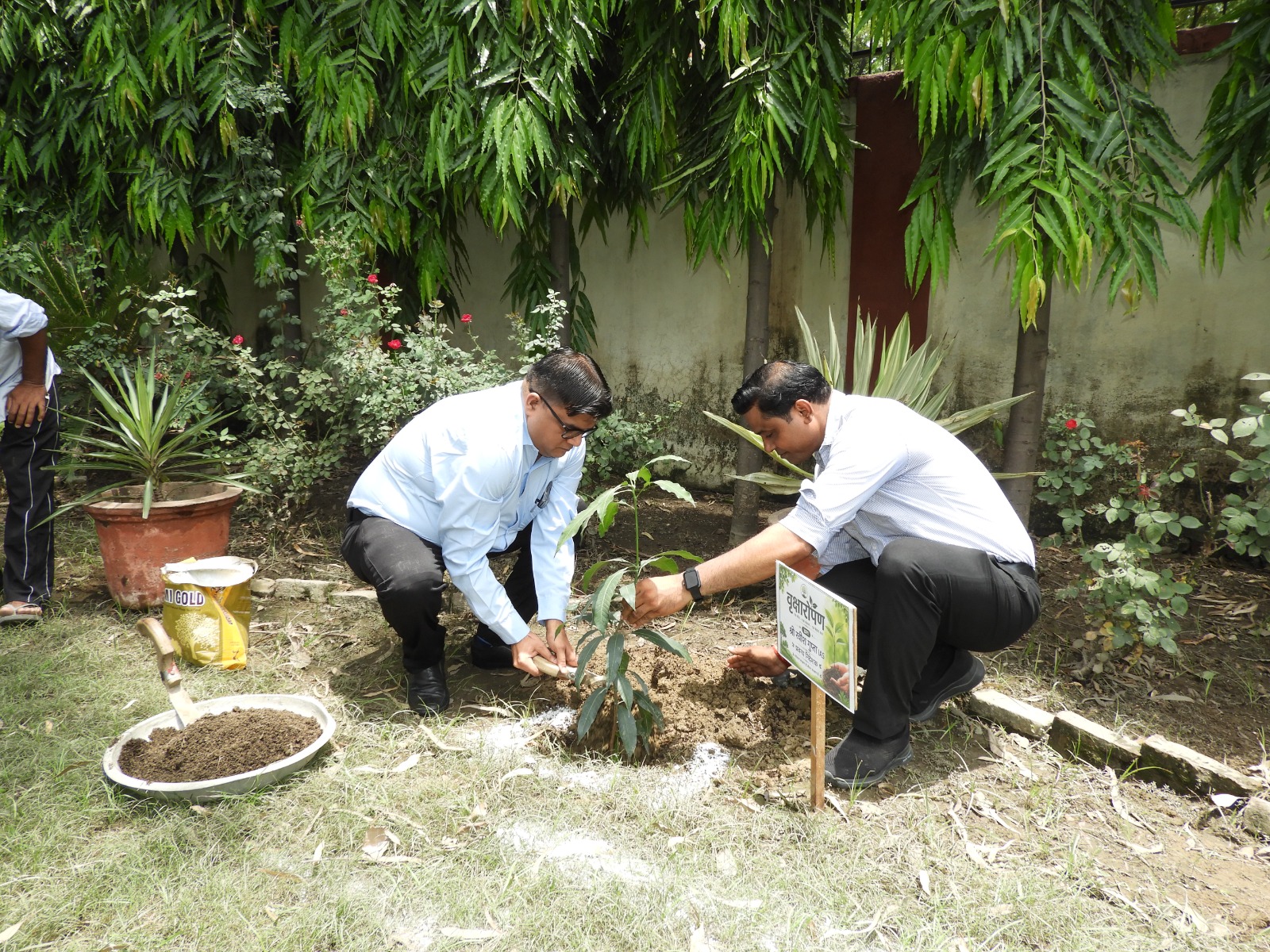 project